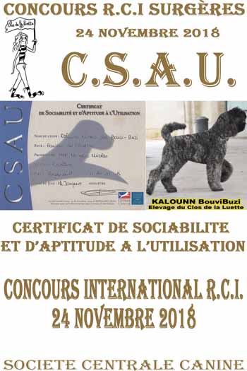 KALOUNN CSAU COPYRIGHT elevage du Clos de la Luette